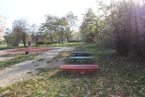 gwiezdna arena
