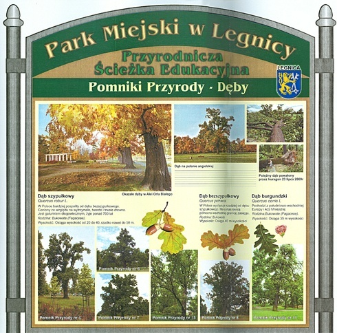 Kolejny etap społecznej rewitalizacji parku.