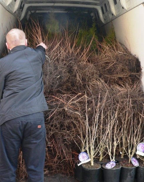 Zielona Legnica. Wiosną wsp&oacute;lnie posadzimy 10 tys. drzew