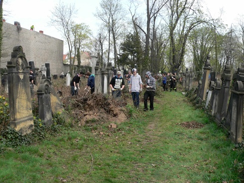 Społeczne sprzątanie Cmentarza Żydowskiego