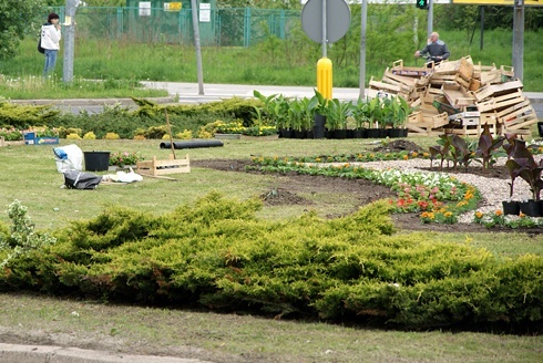 Legnica kwiatami zachwyca