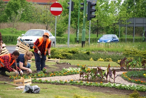 Legnica kwiatami zachwyca