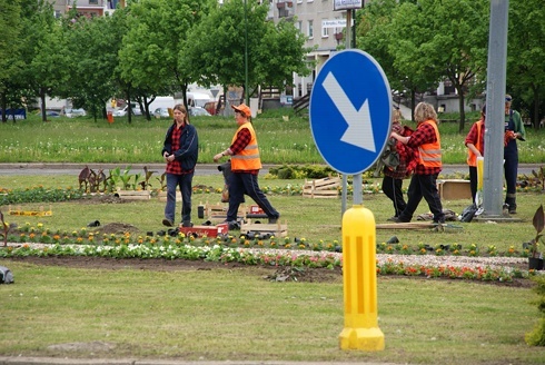 Legnica kwiatami zachwyca