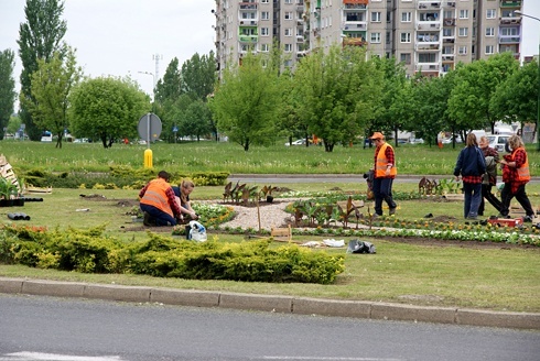 Legnica kwiatami zachwyca