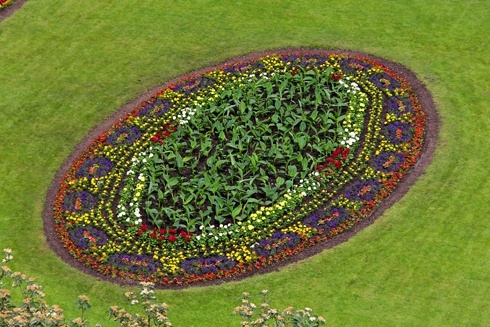 Legnica kwiatami zachwyca