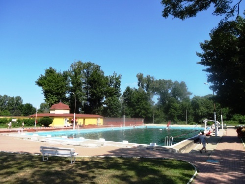 Zawody pływackie na basenie przy ul. Stromej