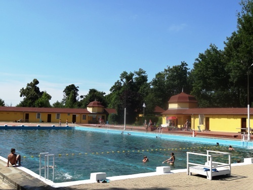 Zawody pływackie na basenie przy ul. Stromej