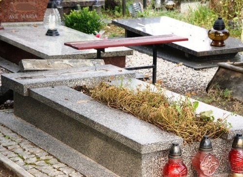 Zniszczone groby na legnickim cmentarzu