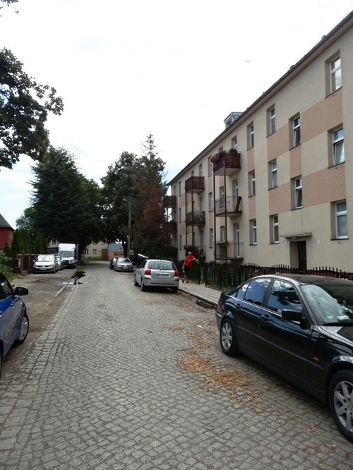 Będą latarnie na ul. Przemkowskiej 
