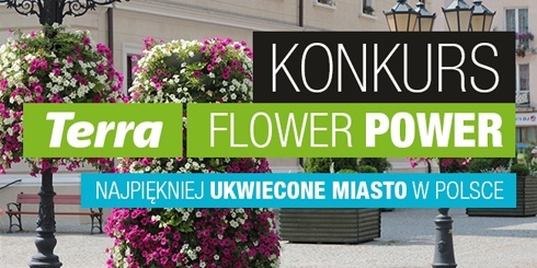 Wybierz Legnicę, najpiękniej ukwiecone miasto 