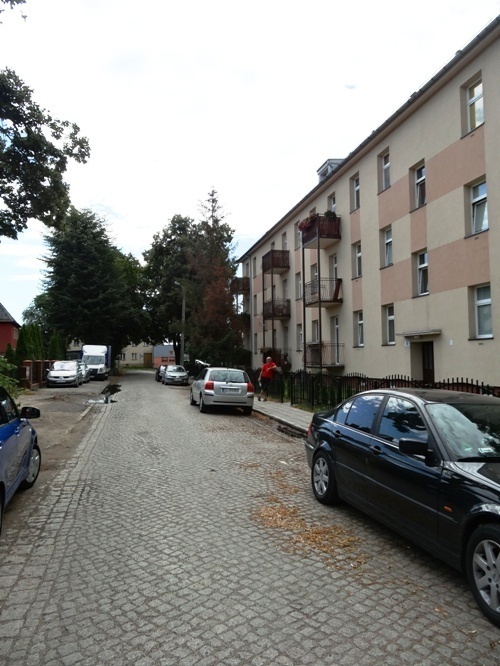 Zbudują oświetlenie na ul. Przemkowskiej