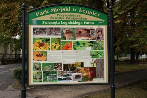  Tablice edukacyjne w parku