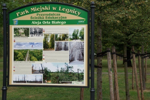  Tablice edukacyjne w parku