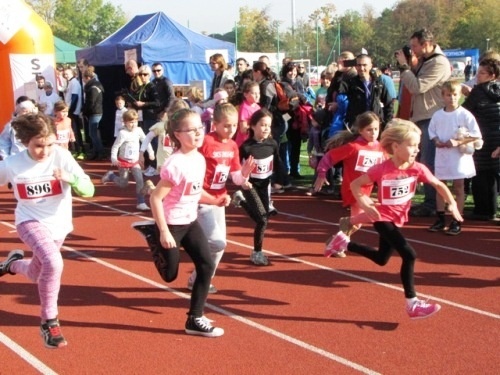 Prawie tysiąc biegaczy wystartowało w Biegu Lwa Legnickiego
