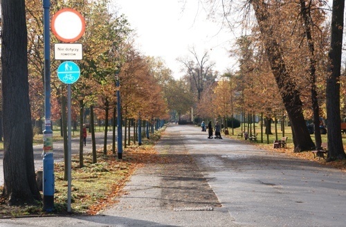 Projektują modernizację  al. Orła Białego.  W parku będą nowe trasy rowerowe