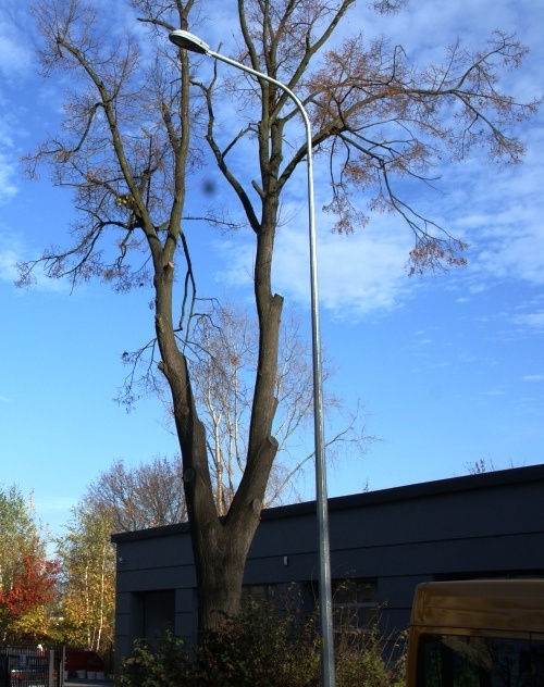Kolejna ulica oświetlona nowymi latarniami
