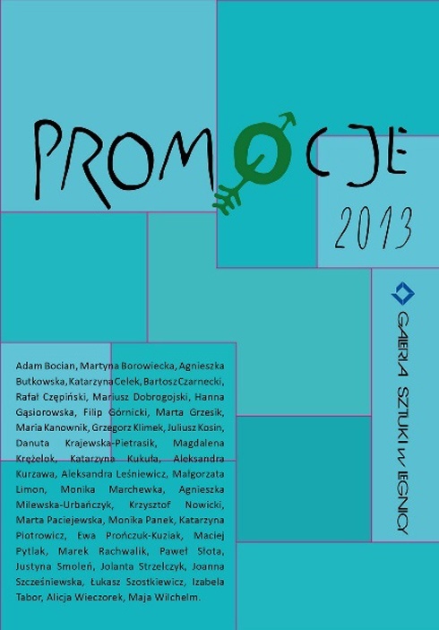 PROMOCJE 2013 1