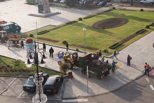 Nowe drzewa zastępują stare jarzębiny na Placu Słowiańskim