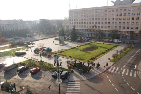 Nowe drzewa zastępują stare jarzębiny na Placu Słowiańskim