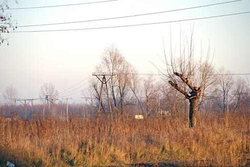 Przy ul. Koskowickiej powstanie duża elektrownia solarna