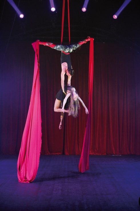 Ocelot podbija świat. W czwartek podbije serca legniczan