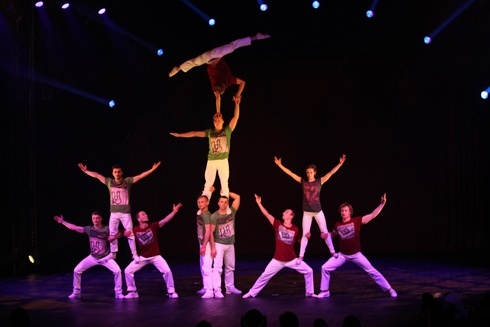 Ocelot podbija świat. W czwartek podbije serca legniczan