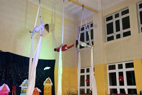 Ocelot znalazł idealne miejsce do trening&oacute;w