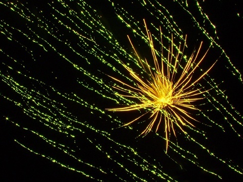 Piękne granie Wielkiej Orkiestry Świątecznej Pomocy