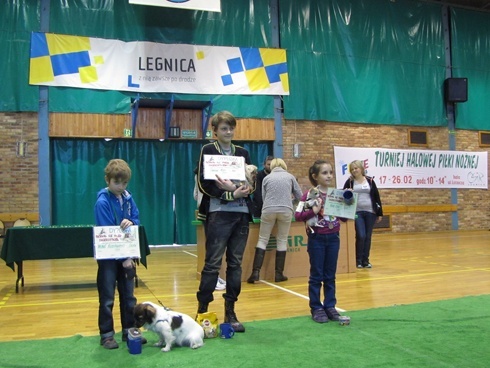 Wystawa piesk&oacute;w, kotk&oacute;w i gryzoni