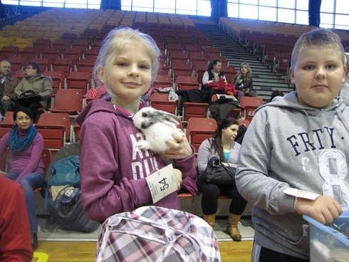 Wystawa piesk&oacute;w, kotk&oacute;w i gryzoni