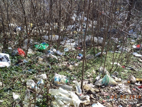 Bezrobotni pracując, sprzątają miasto