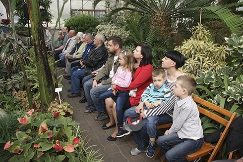 Wielkanoc w palmiarni