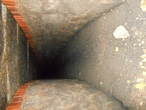 Co nowego na Witelona i Skarbka?