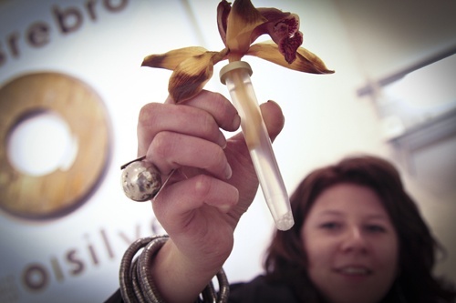 Coraz więcej srebra w mieście