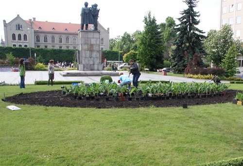Zielona Legnica. Wiosenne nasadzenia kwiat&oacute;w