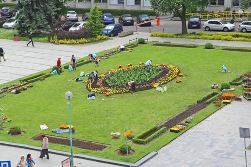 Zielona Legnica. Wiosenne nasadzenia kwiat&oacute;w