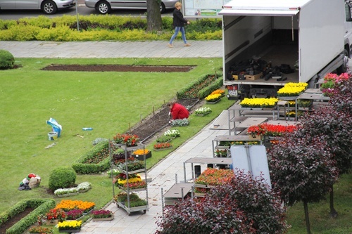 Zielona Legnica. Wiosenne nasadzenia kwiat&oacute;w