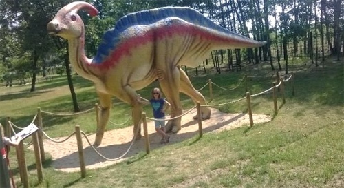 P&oacute;łkolonie SP 7 w Legnicy