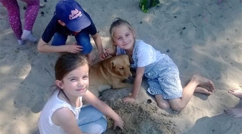 P&oacute;łkolonie SP 7 w Legnicy