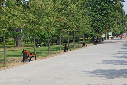 Parkowa aleja jak salon