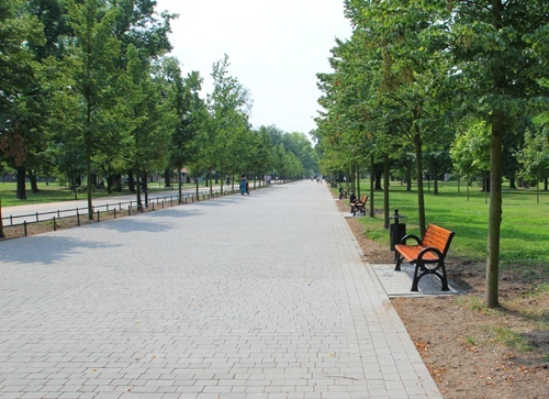 Parkowa aleja jak salon