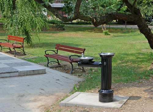 Parkowa aleja jak salon  Parkowa aleja jak salon  Parkowa aleja jak salon