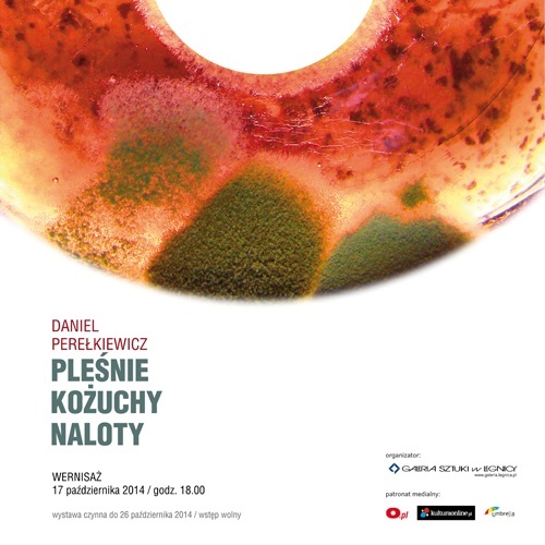 Malarstwo organicznych wykwit&oacute;w w Galerii Sztuki