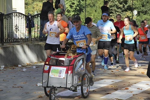 Wspaniały Bieg Lwa Legnickiego