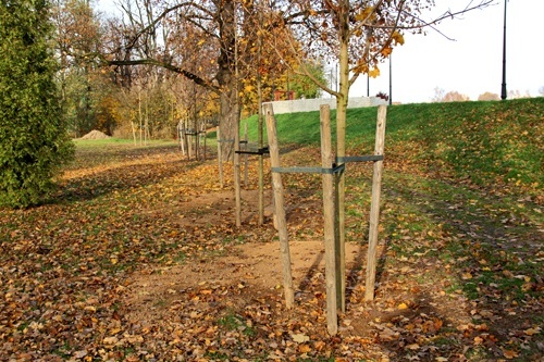 Zieleni coraz więcej