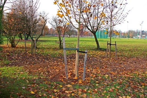 Zieleni coraz więcej