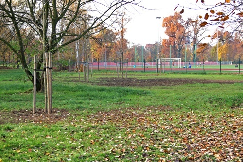 Zieleni coraz więcej