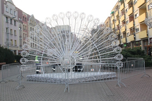 Od soboty Legnica w świątecznej szacie. Będą świetliste premiery