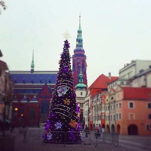 Od soboty Legnica w świątecznej szacie. Będą świetliste premiery