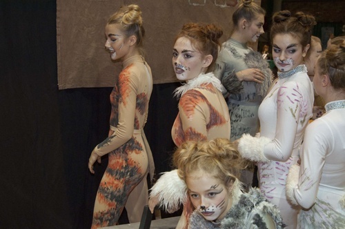 Roztańczone legnickie mikołajki